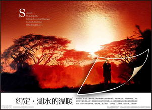 地產(chǎn)廣告設計 視覺驅(qū)動價值的藝術與實踐