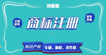 頂峰知產(chǎn) 以高成功率賦能企業(yè)商標與知識產(chǎn)權保護