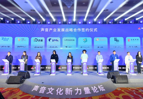 太醫(yī)溫實(shí)初現(xiàn)身杭州，數(shù)字內(nèi)容制作大咖齊聚，共探聲音藝術(shù)新篇章